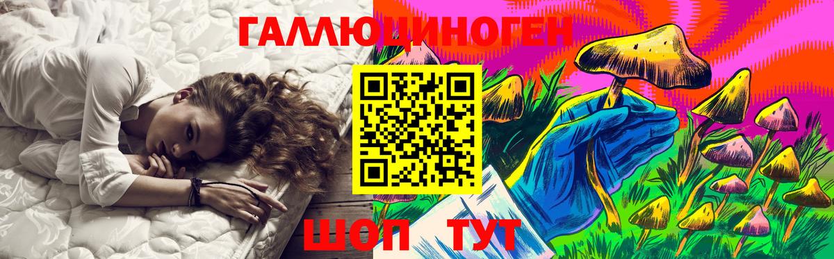 Кемерово  Псилоцибиновые грибы Cubensis  Вход с VPN 